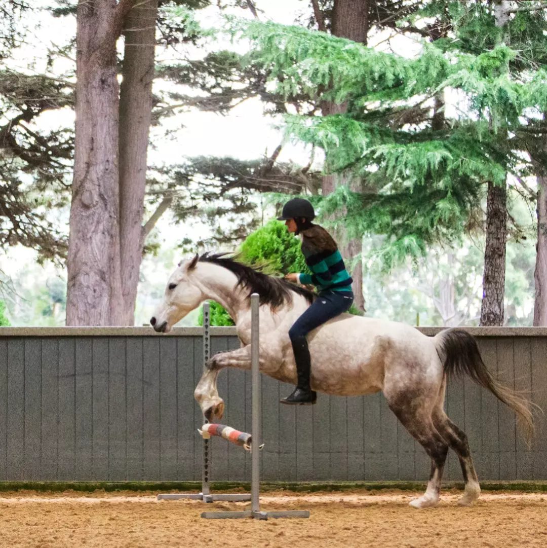 Jumping Rahni bareback and bridleless