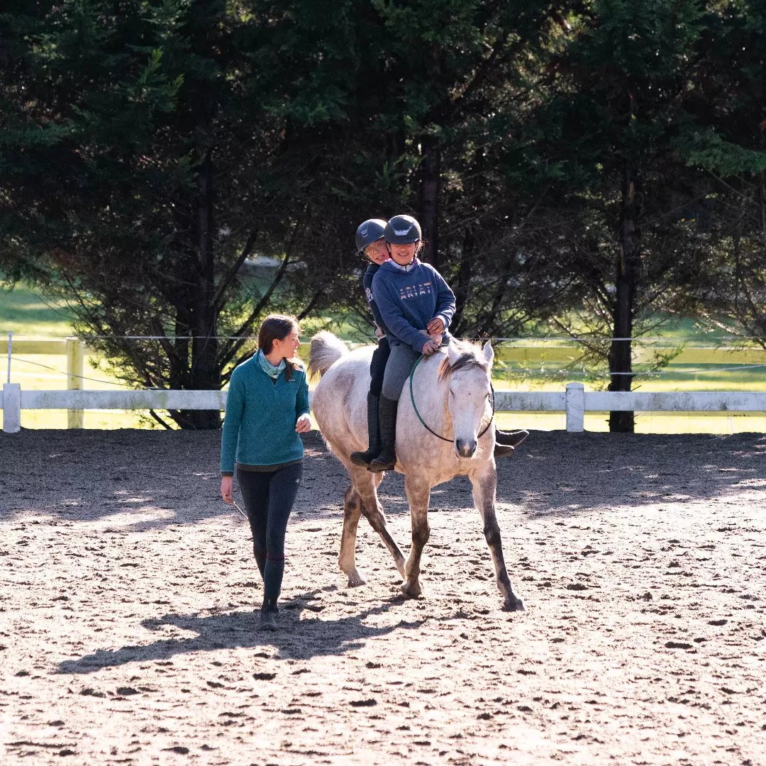 Liberty Horse Training in Australia: A Beginner's Guide