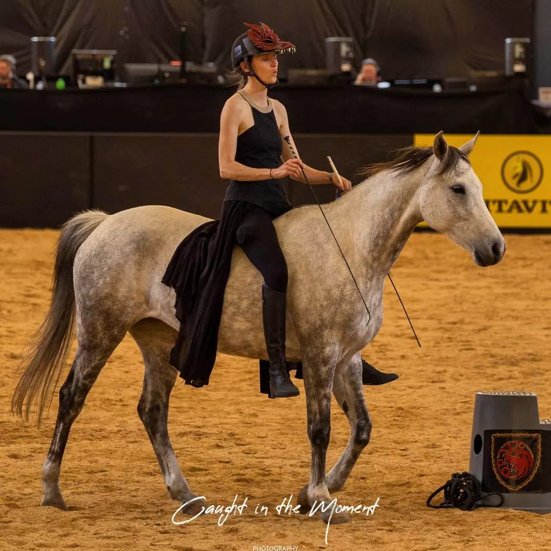 Riding Rahni bridleless at Equitana Melbourne