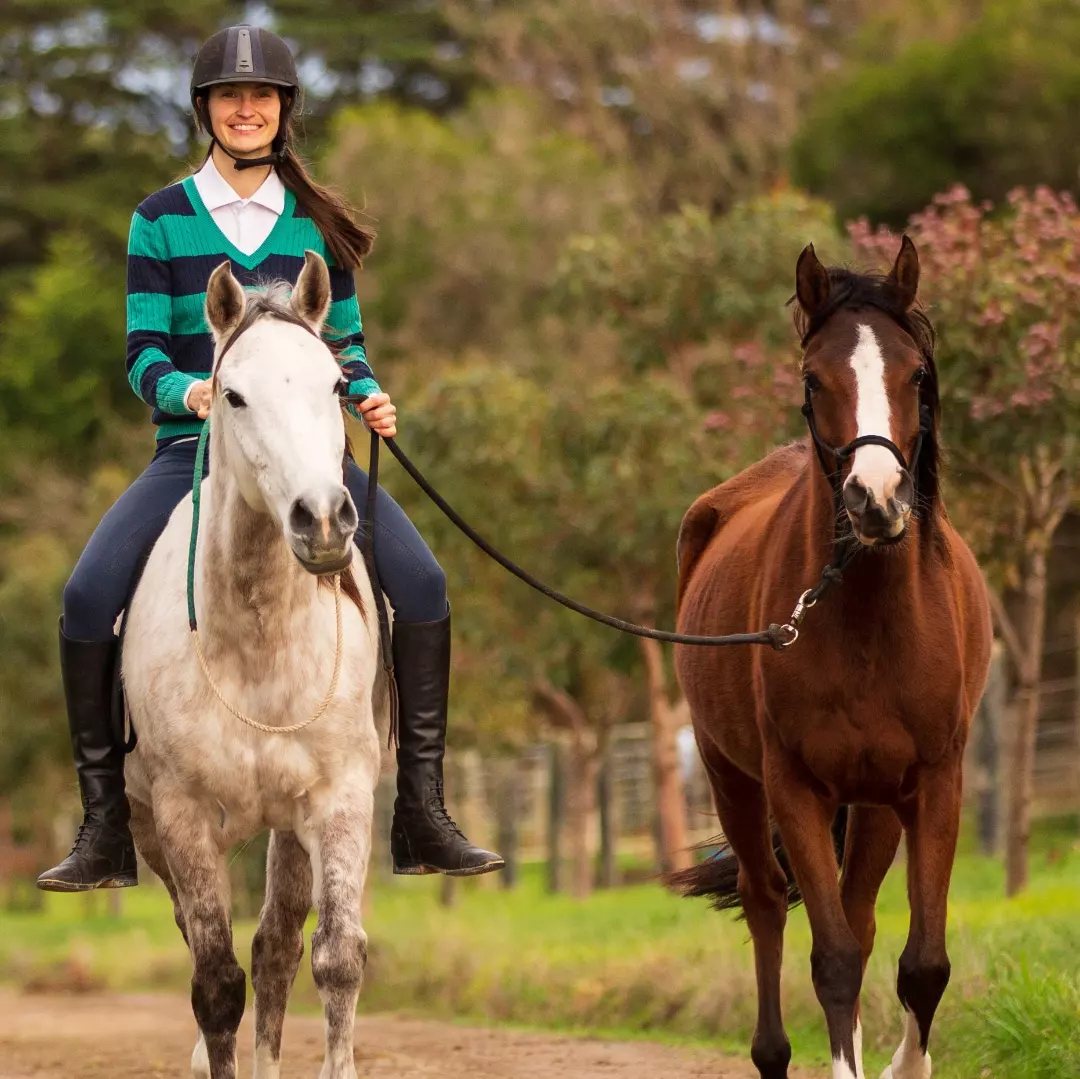 The Fabled Flow trio: rider on grey mare Rahni beside bay mare Tiamat