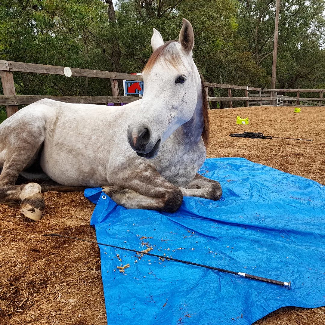 Rahni lying down on a blue tarp
