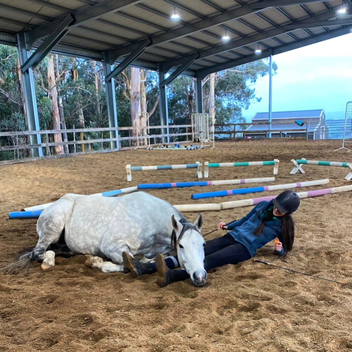 Rahni lying down with her rider in the arena