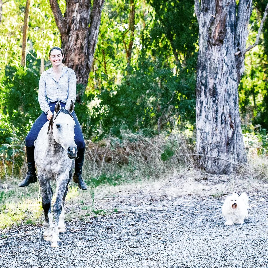 Small white dog trotting beside Rahni