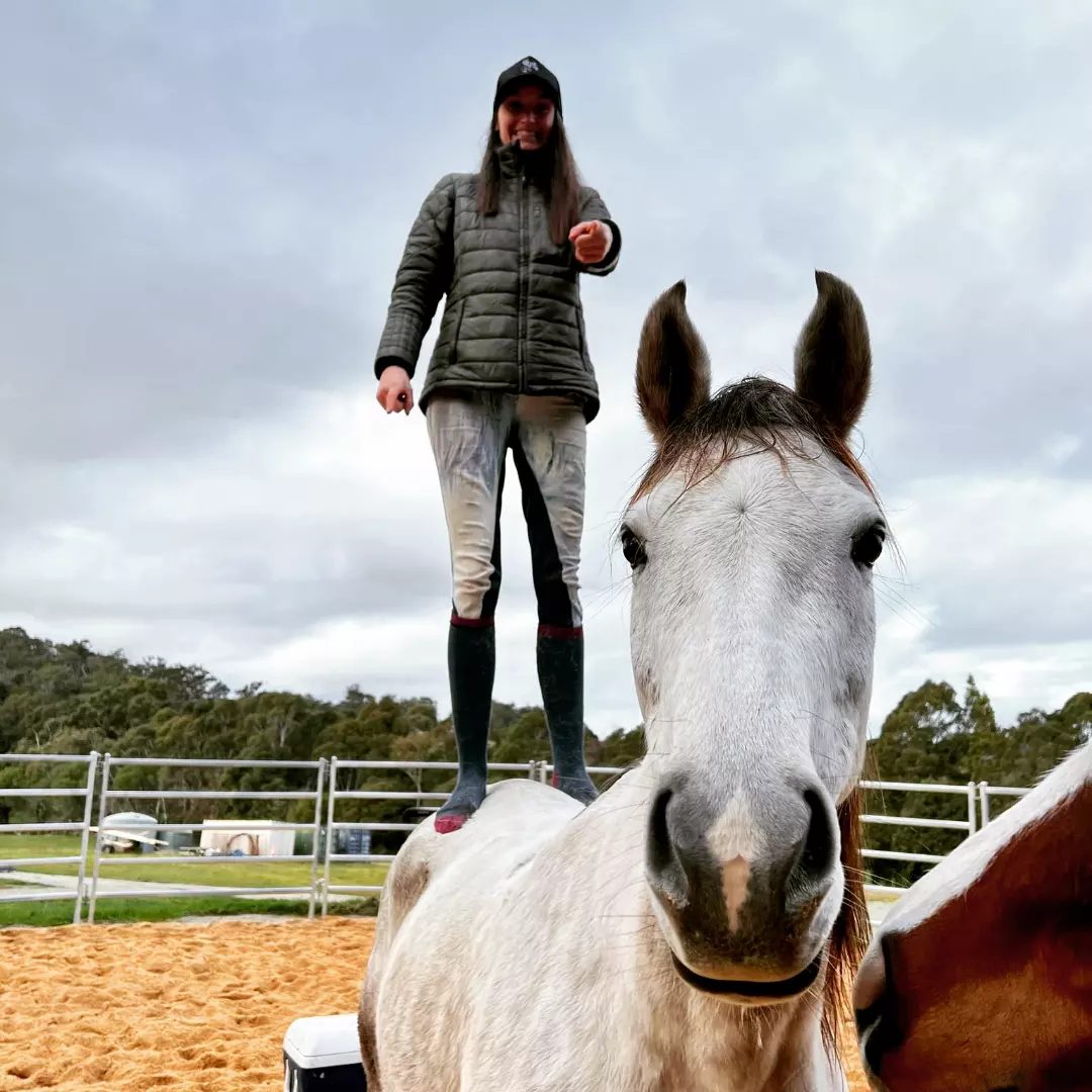 Rider standing on grey Arabian mare Rahni while Tiamat looks on